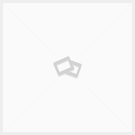 ¡Emocionantes lanzamientos de nuevos productos en Beliags.org.mx!